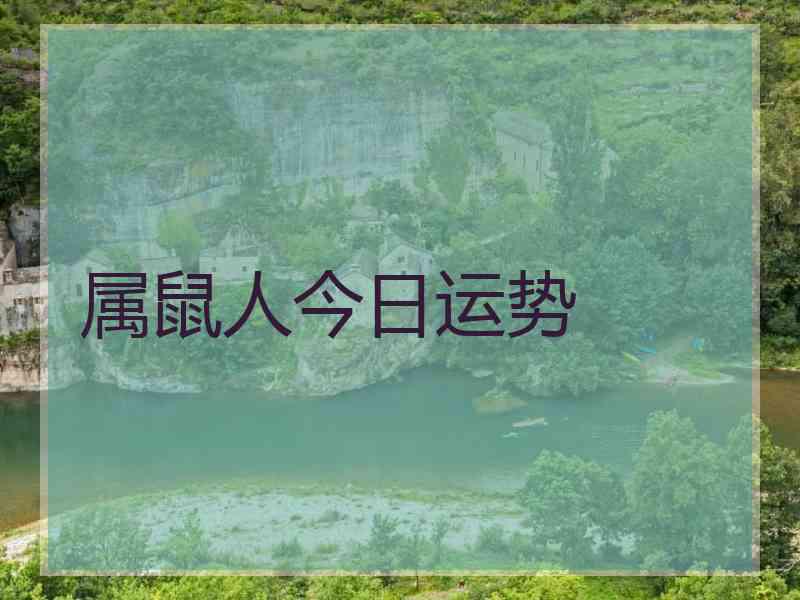 属鼠人今日运势 属鼠人今日运势
