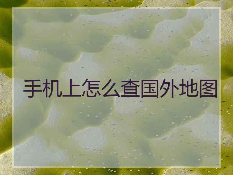 手机上怎么查国外地图 手机上怎么查国外地图