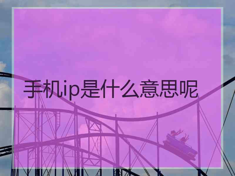 手机ip是什么意思呢 手机ip是什么意思呢