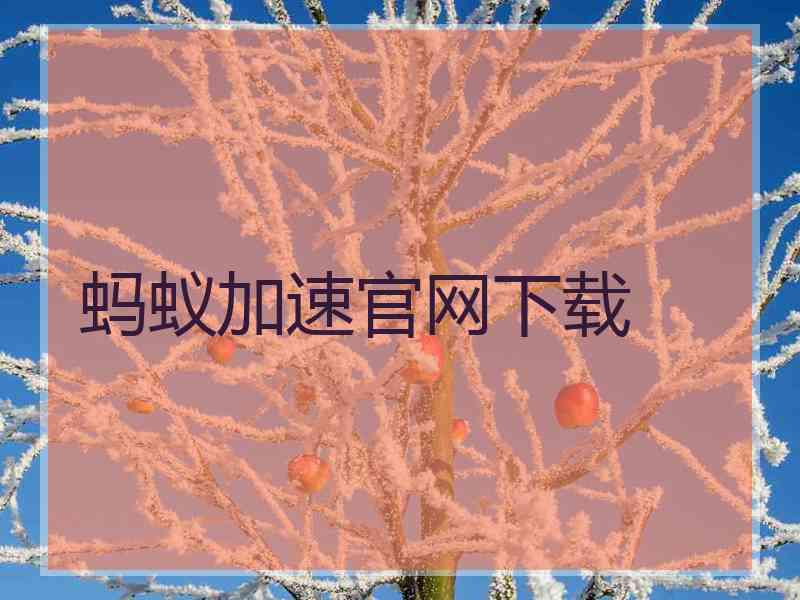 蚂蚁加速官网下载 蚂蚁加速官网下载