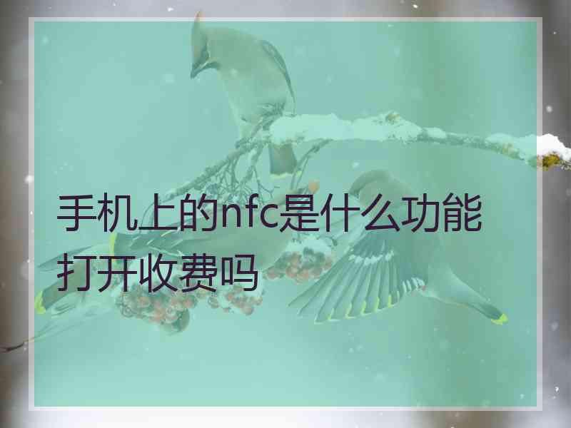 手机上的nfc是什么功能打开收费吗 手机上的nfc是什么功能打开收费吗