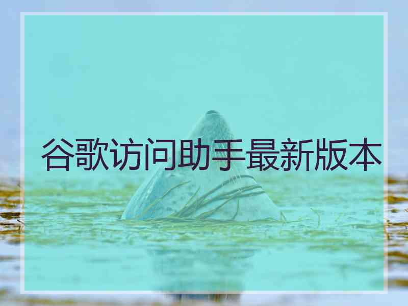 谷歌访问助手最新版本 谷歌访问助手最新版本