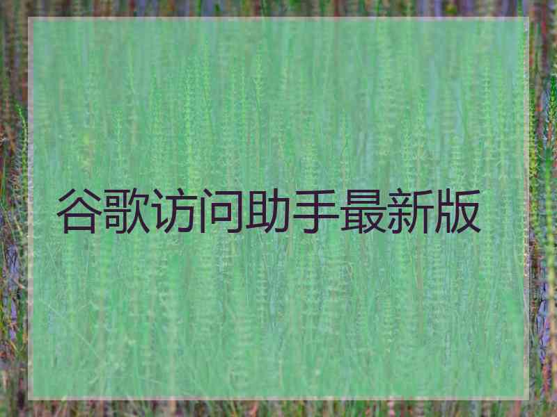 谷歌访问助手最新版 谷歌访问助手最新版