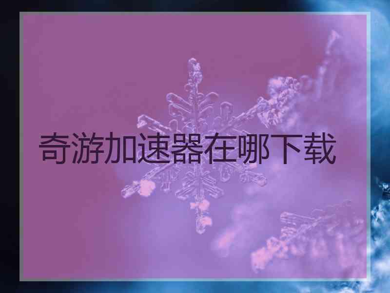 奇游加速器在哪下载 奇游加速器在哪下载