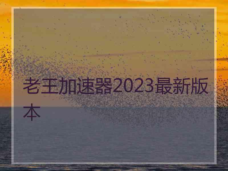 老王加速器2023最新版本 老王加速器2023最新版本