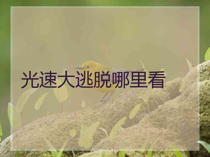 光速大逃脱哪里看 光速大逃脱哪里看