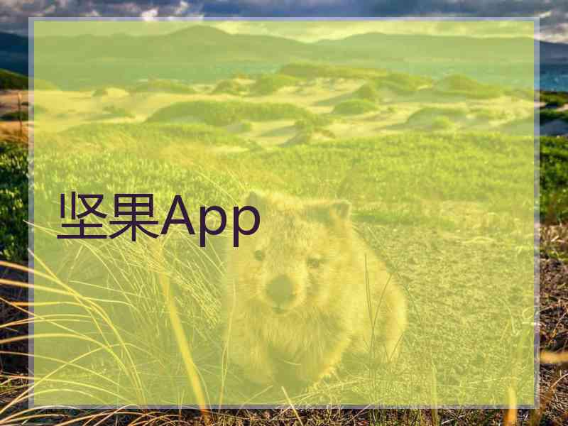 坚果App 坚果App