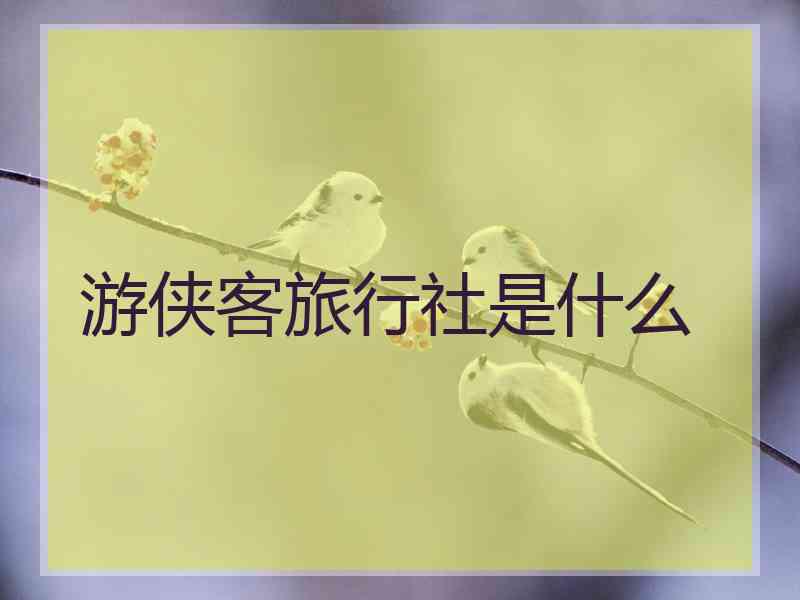 游侠客旅行社是什么 游侠客旅行社是什么