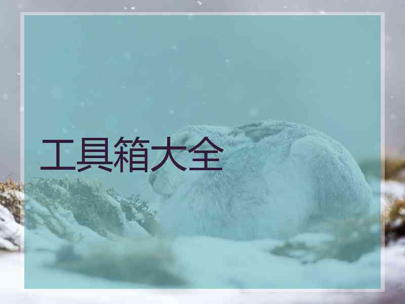 工具箱大全 工具箱大全