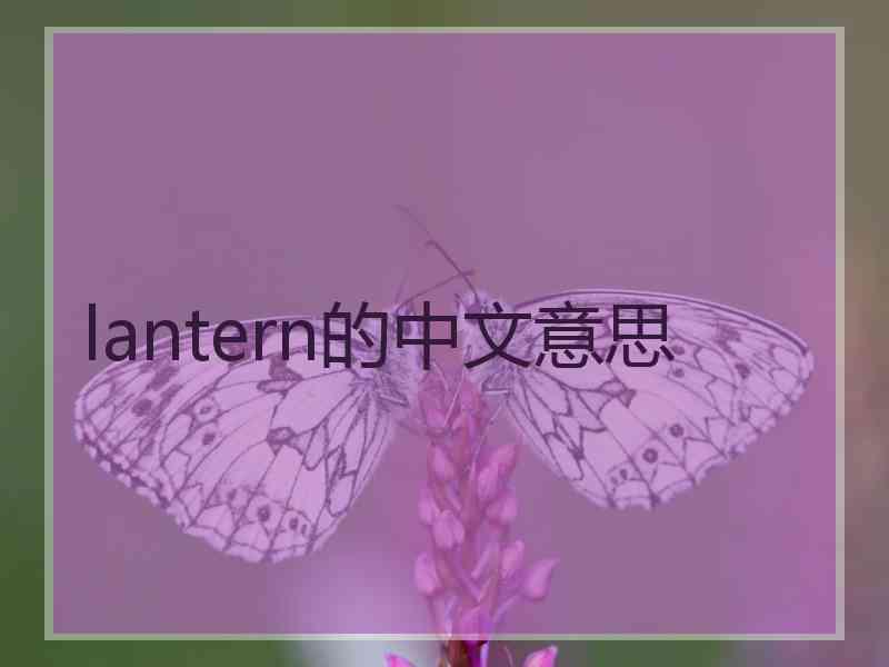 lantern的中文意思 lantern的中文意思