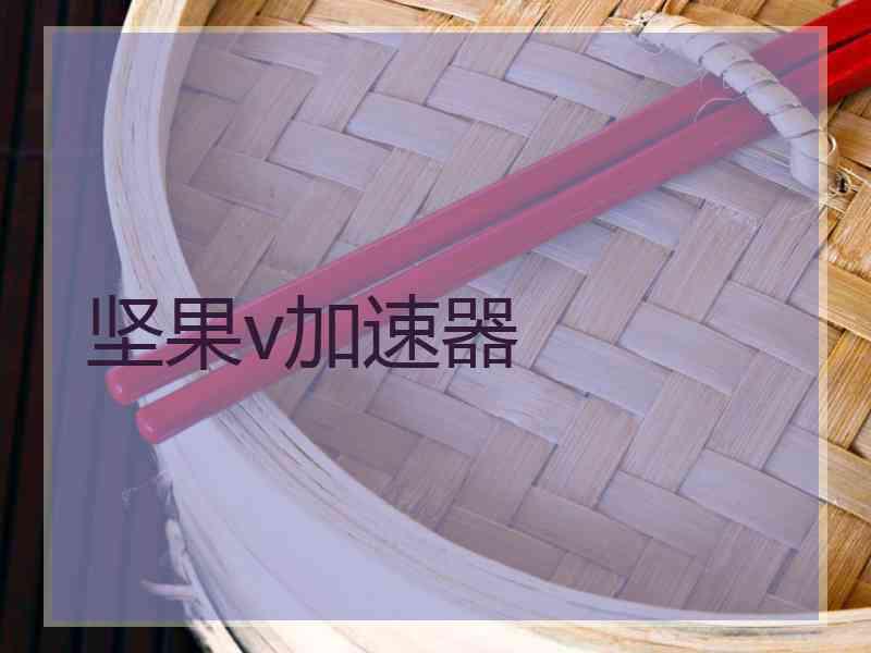 坚果v加速器