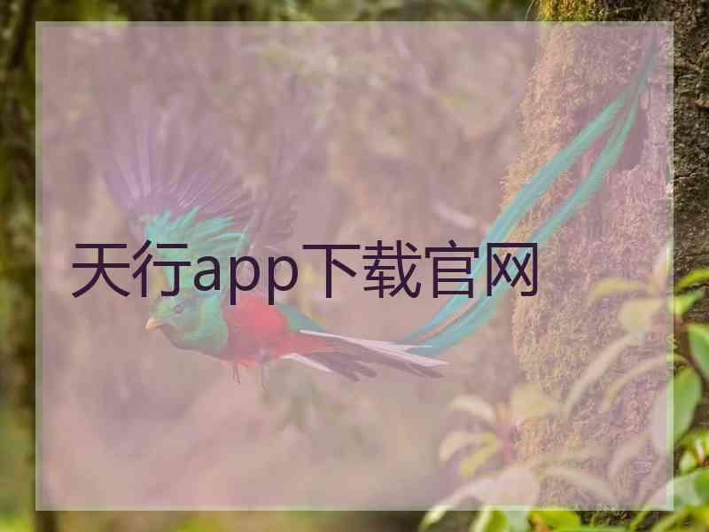 天行app下载官网