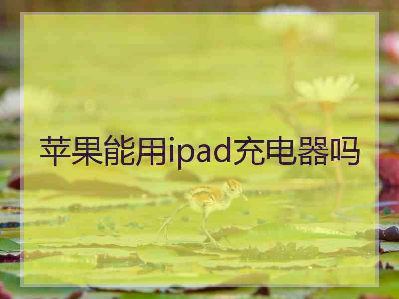 苹果能用ipad充电器吗