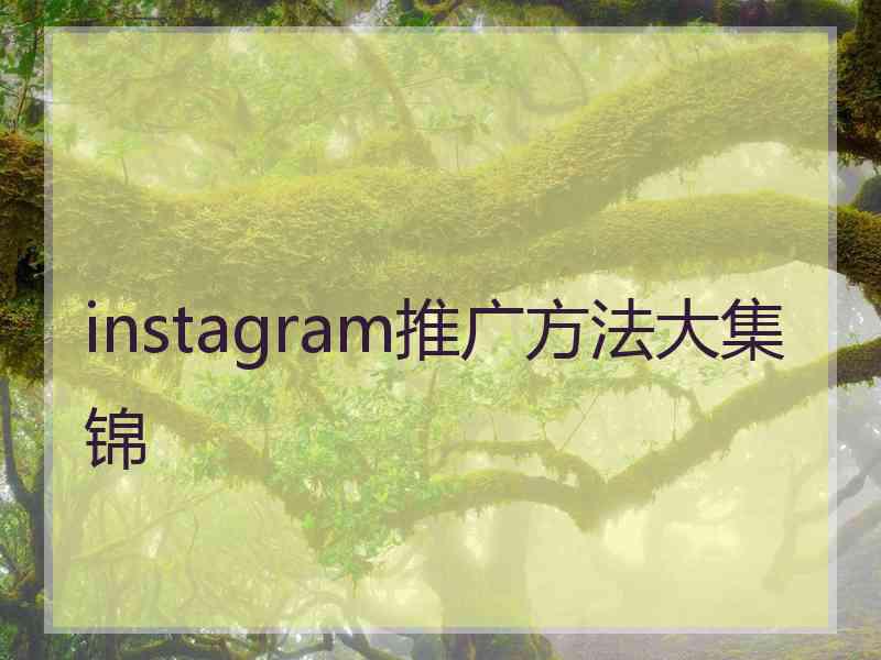 instagram推广方法大集锦