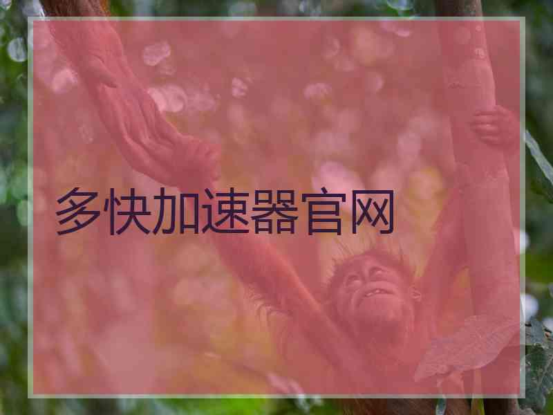 多快加速器官网