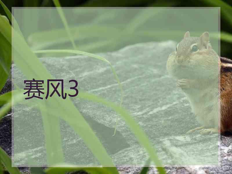 赛风3