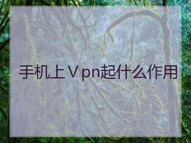 手机上Ⅴpn起什么作用