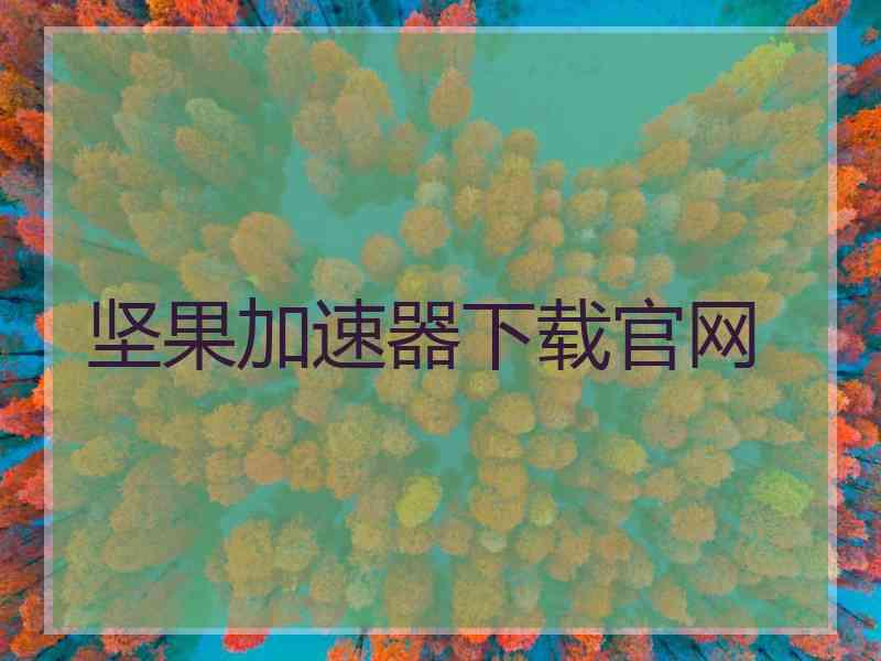 坚果加速器下载官网