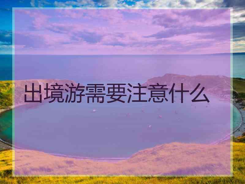 出境游需要注意什么