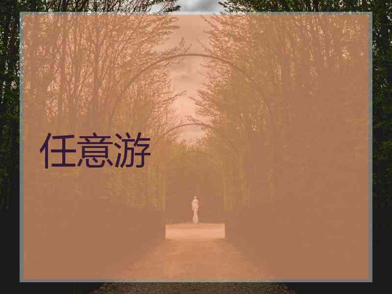 任意游