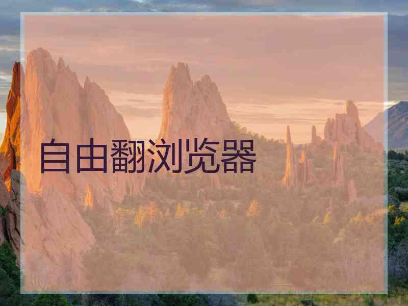 自由翻浏览器