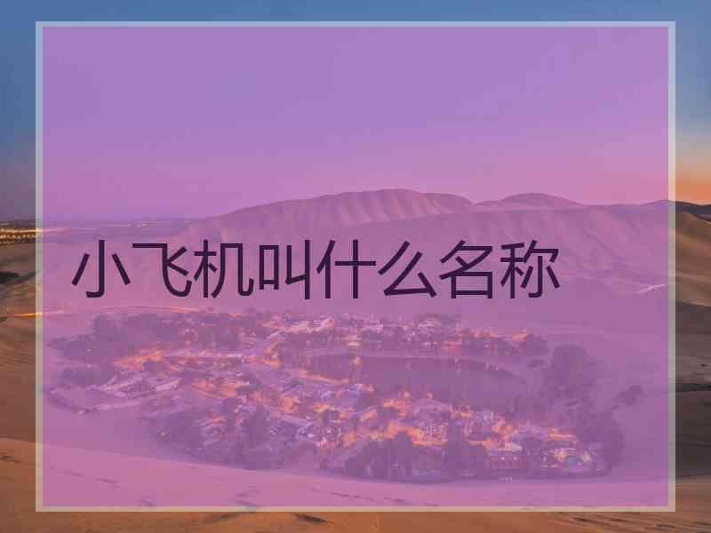 小飞机叫什么名称