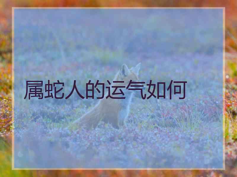 属蛇人的运气如何
