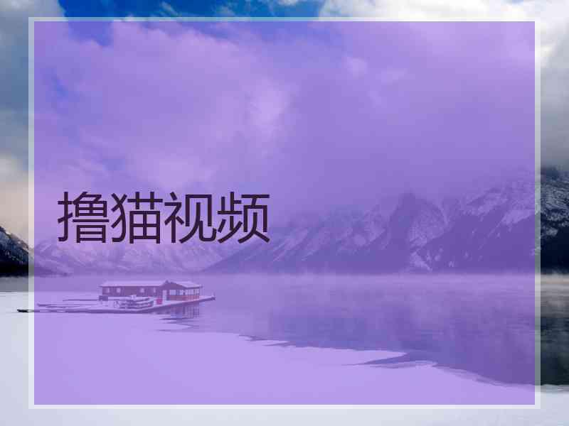 撸猫视频