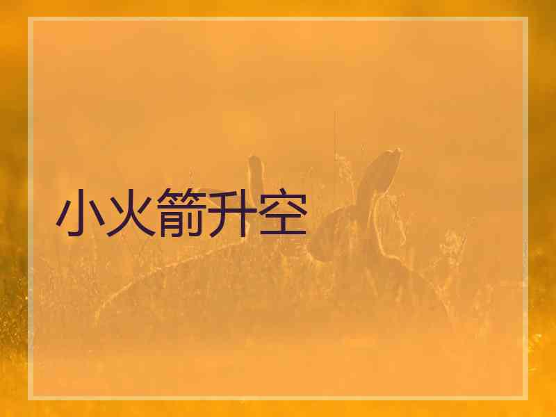 小火箭升空