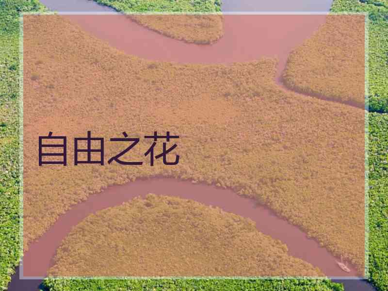 自由之花