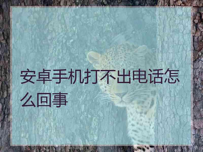 安卓手机打不出电话怎么回事