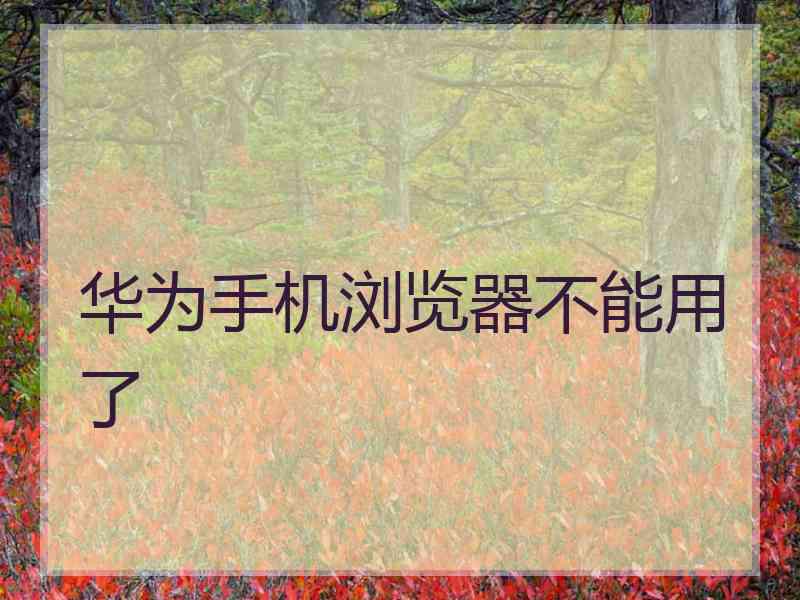 华为手机浏览器不能用了