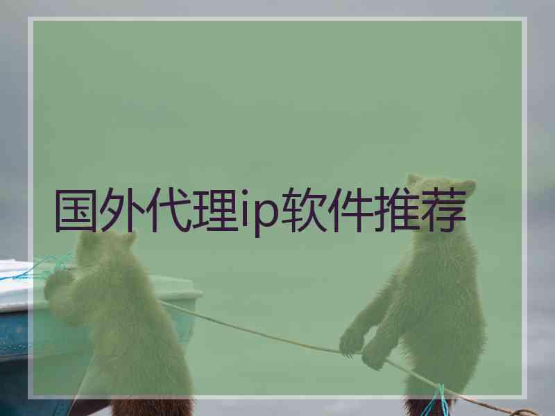 国外代理ip软件推荐