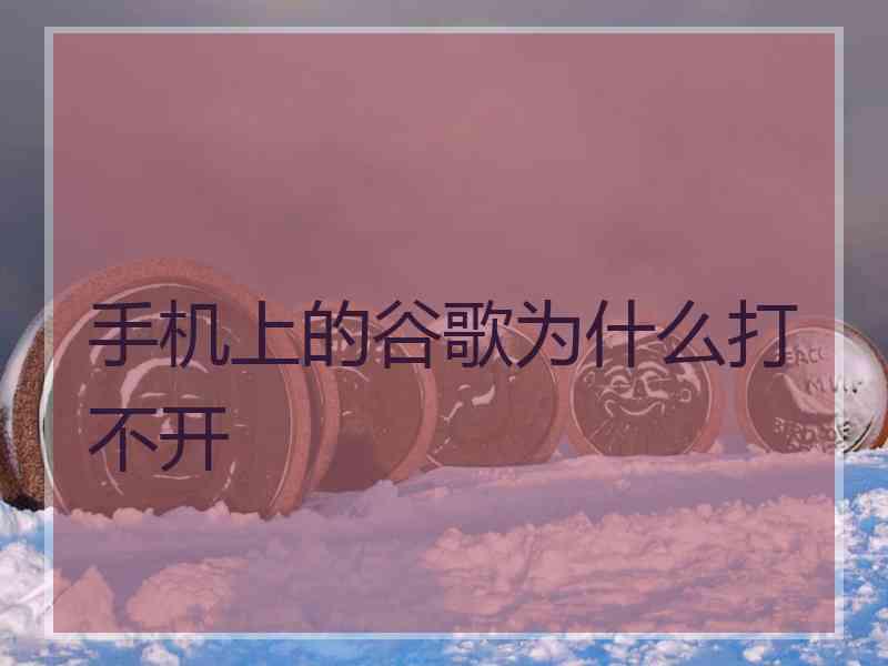 手机上的谷歌为什么打不开