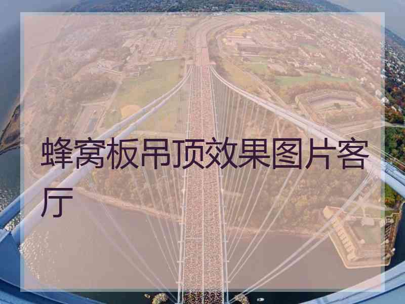 蜂窝板吊顶效果图片客厅