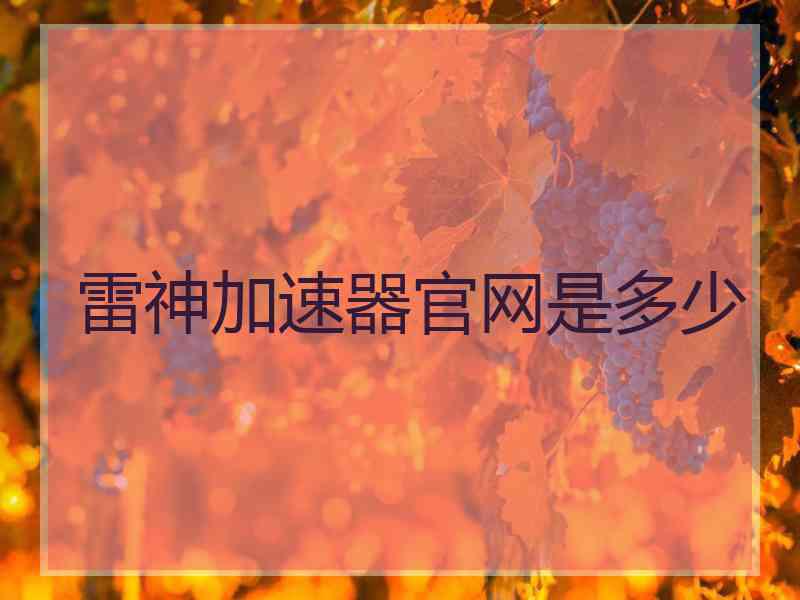雷神加速器官网是多少