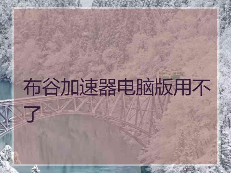 布谷加速器电脑版用不了