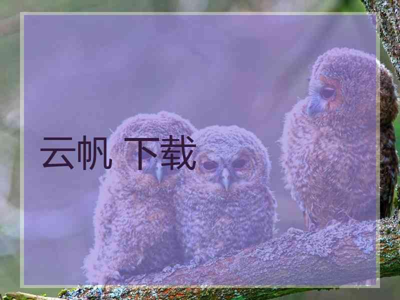 云帆 下载