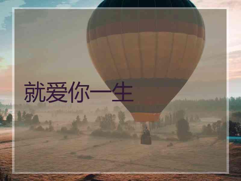就爱你一生