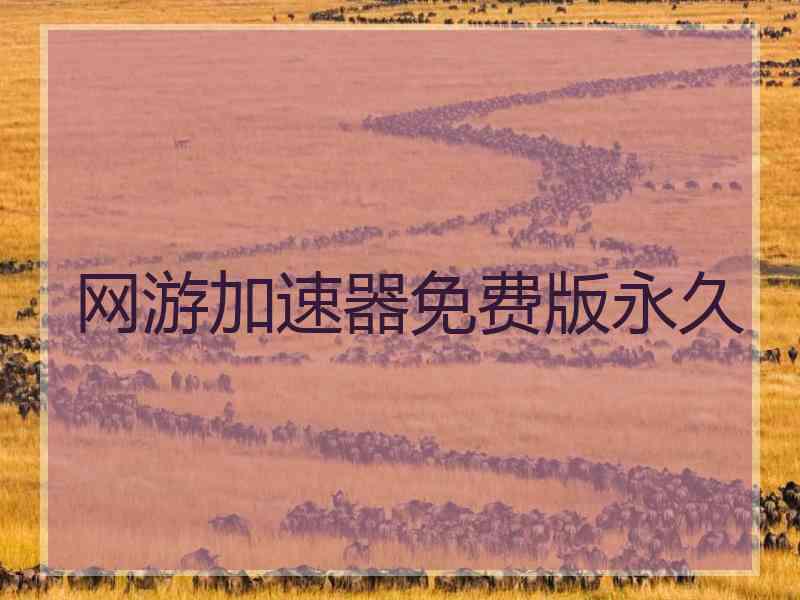 网游加速器免费版永久