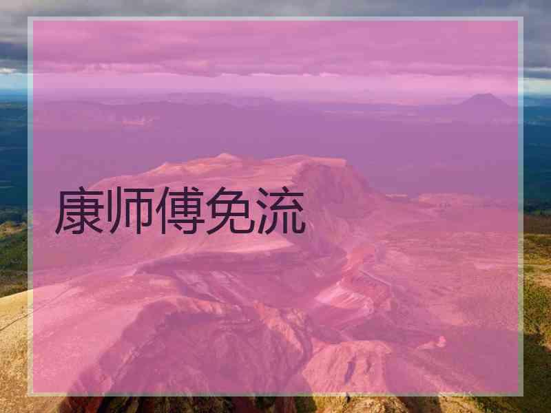 康师傅免流