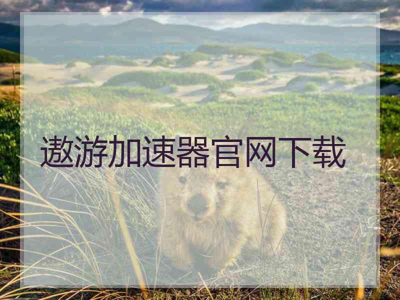 遨游加速器官网下载