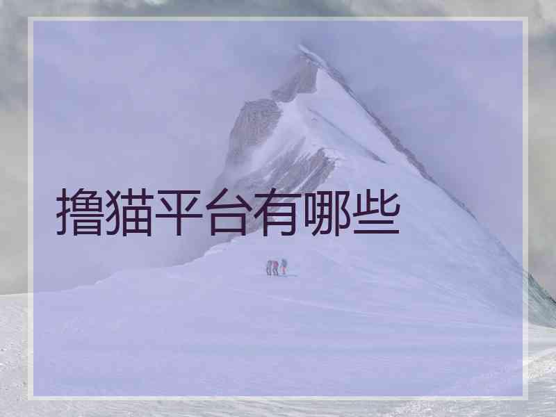 撸猫平台有哪些