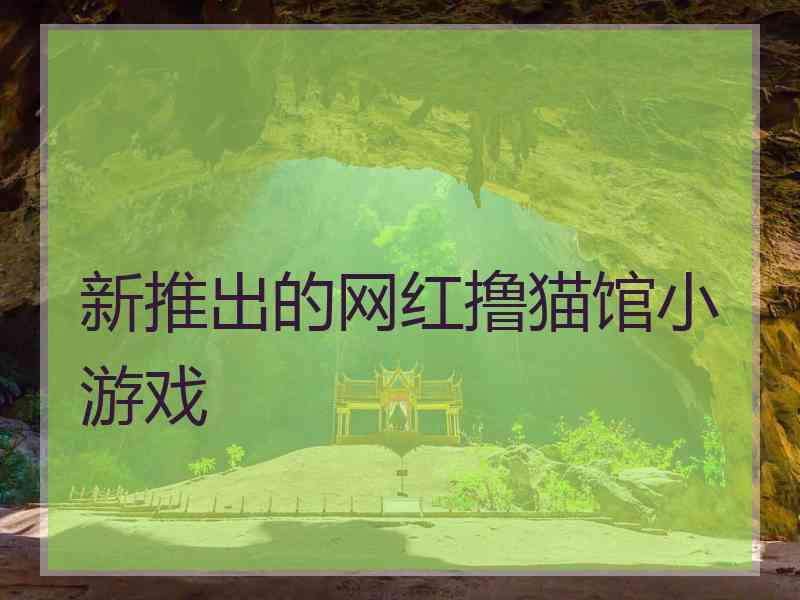 新推出的网红撸猫馆小游戏