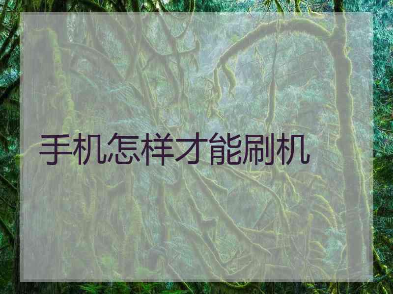 手机怎样才能刷机