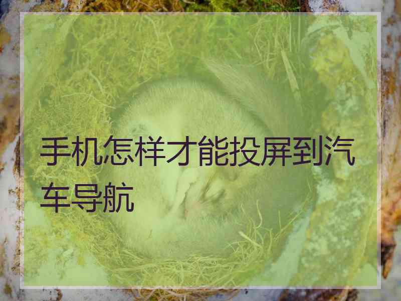 手机怎样才能投屏到汽车导航