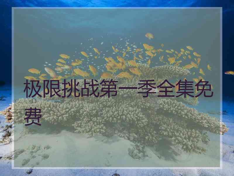 极限挑战第一季全集免费