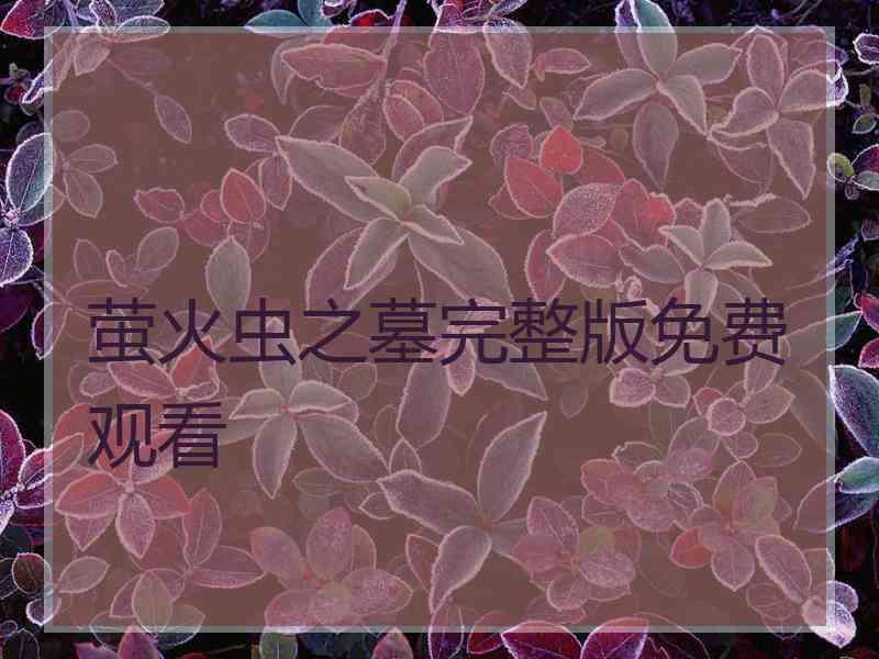 萤火虫之墓完整版免费观看