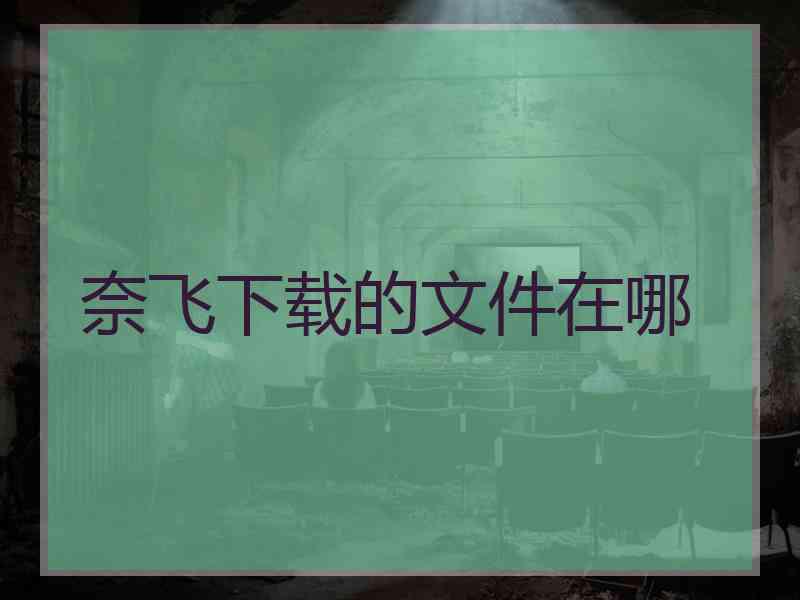 奈飞下载的文件在哪