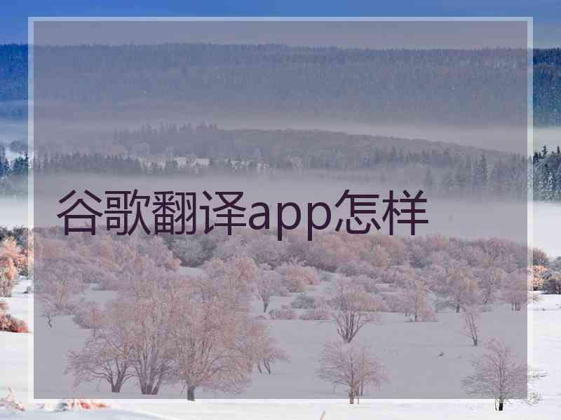 谷歌翻译app怎样